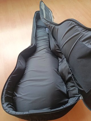 Funda 20mm guitarra eléctrica 335 semihueca Ritter