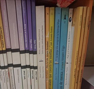 Libros de lectura de Primaria y Secundaria (ESO)