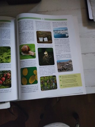 BIOLOGIA Y GEOLOGIA C-Leon 1ESO CONSTRUYENDO MU...