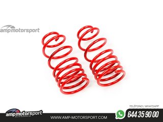 MUELLES DEPORTIVOS MTS TECHNIK MTSXBM134