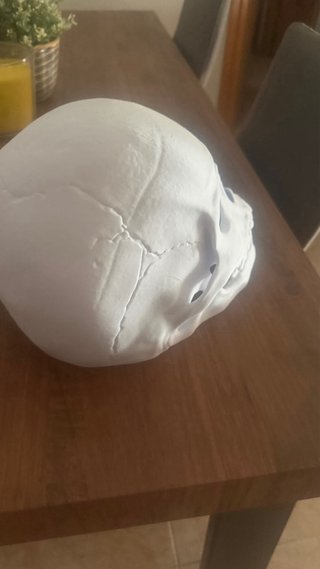 Máscara calavera blanca