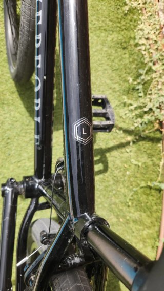 Bicicleta BMX Wethepeople