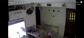 Cámara Wifi vigilancia WOLFGANG