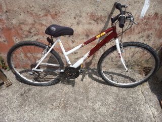 Bicicleta de montaña para adulto