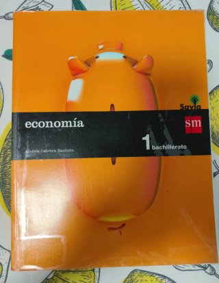 Libro de economía,1 bachillerato.SM