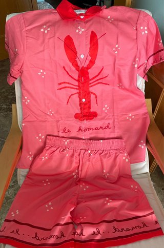 Conjunto Camisa y Shorts. Talla M. Sin marca