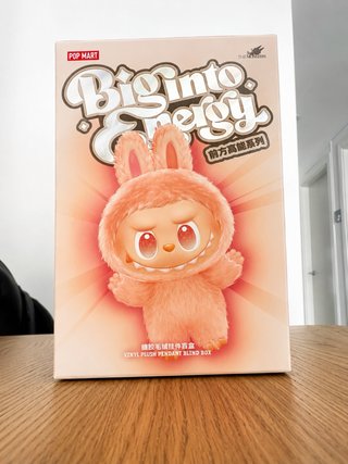 POP MART Big Into Energy Vinyl Plush Blind Box