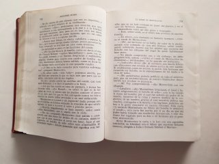 Novelas Alejandro dumas. Lorenzana