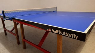 Mesa Ping Pong Butterfly Profesional