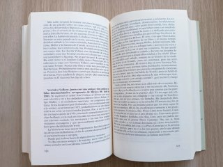 Los detectives salvajes, Roberto Bolaño