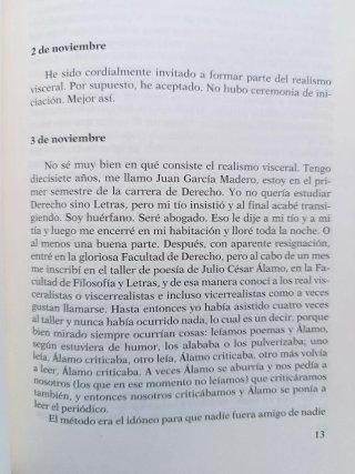 Los detectives salvajes, Roberto Bolaño