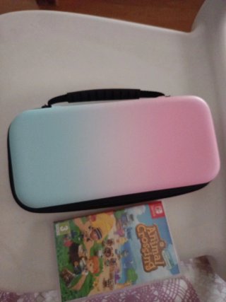 Animal Crossing New Horizons Switch