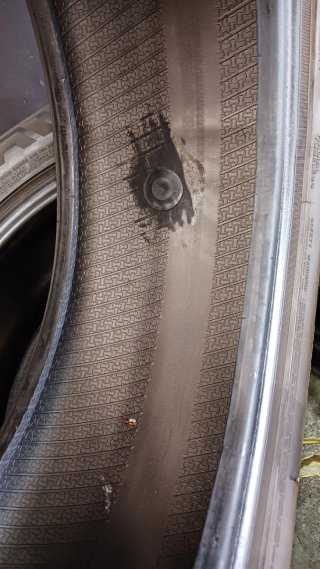 225/55 R17 101W NEXEN N'FERA PRIMUS SU1 PLUS