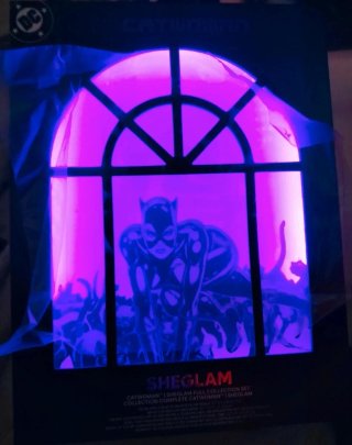 Colección Completa Catwoman Sheglam NUEVO