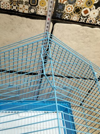 Jaula para pájaro azul