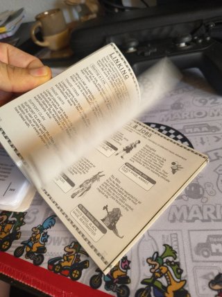 Manual Final Fantasy Tactics Advance GBA
