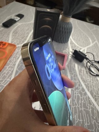 iPhone 12 Pro Max 256GB Oro