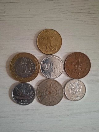 7 Monete del Mondo