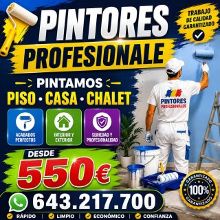 PINTAMOS PISOS CASA CHALET