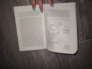 Profilo linguistico dei dialetti italiani