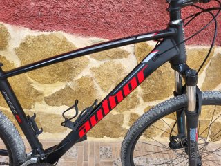 Bicicleta Author Pegas 29