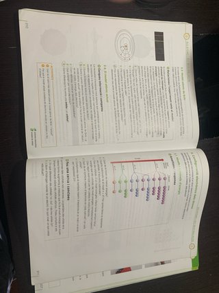 Física i química, 4 ESO