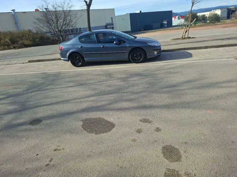 Peugeot 407 - foto 1