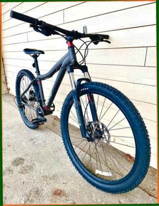 Bicicleta de montaña CDDD
