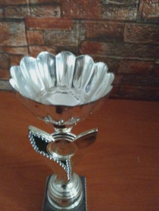 Trofeo deportivo plateado
