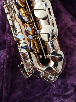 Saxo Tenor Forestone