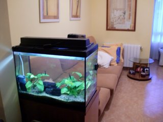 Mueble especial para acuario
