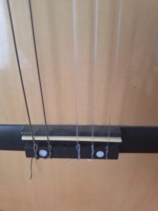 Guitarra Clásica XP AG300