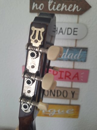 Guitarra Clásica XP AG300