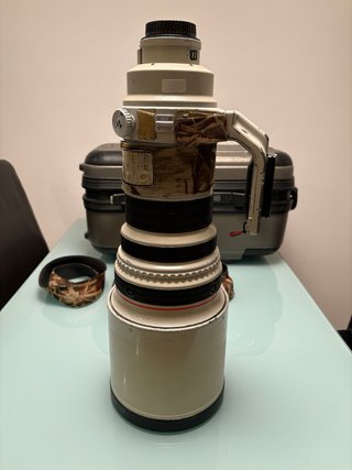 Canon EF 400mm f2.8 IS USM