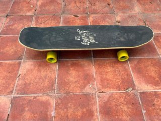 Longboard Landyachtz Loco 33
