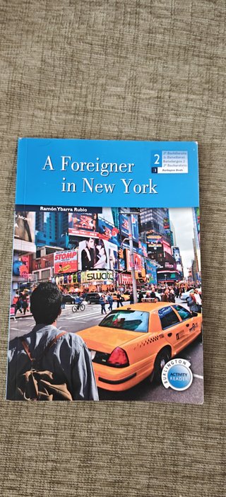 A Foreigner in New York — Ramón Ybarra Rubio