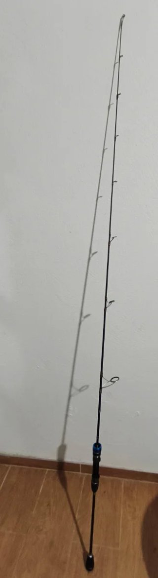 Caña de pescar jigging Adajo 300grs
