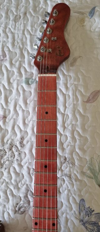 Guitarra Eléctrica