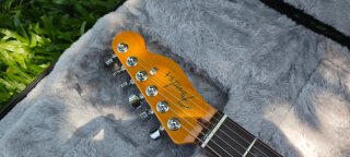 Fender American Ultra Telecaster 75th TEXAS TEA