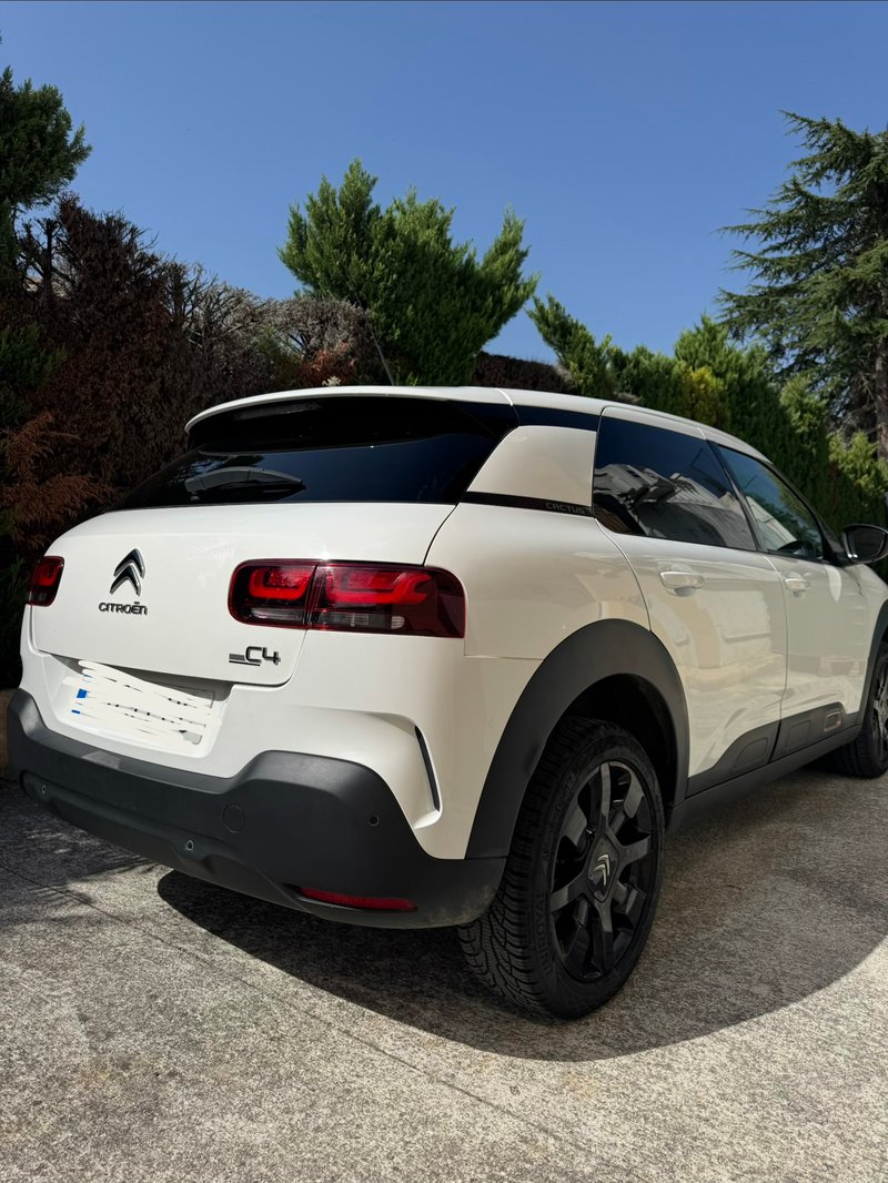 Citroen C4 Cactus Origins - foto 1