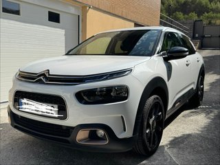 Citroen C4 Cactus Origins