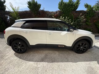 Citroen C4 Cactus Origins