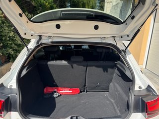 Citroen C4 Cactus Origins