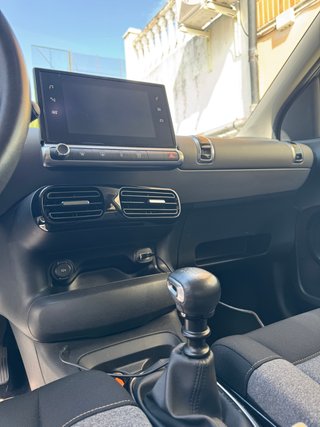 Citroen C4 Cactus Origins