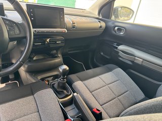 Citroen C4 Cactus Origins