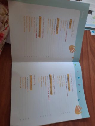 Libro castellano santillana 1 de primaria