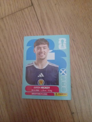 Cromos Selección Escocia Panini