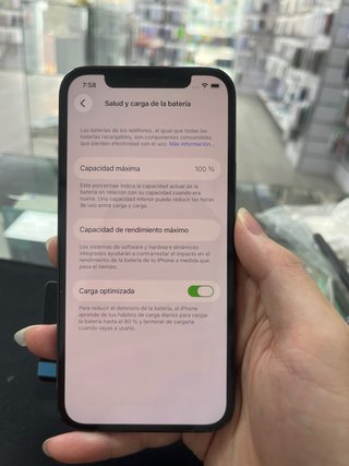 iPhone 12 Pro 256GB 100%