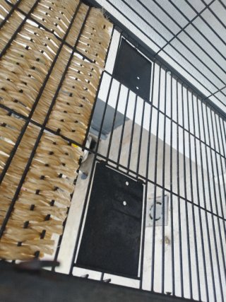 Jaula para pájaros/loros/cotorras