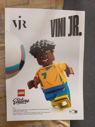 Póster lámina de Vinicius Lego